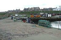 Boddam Harbour with lobster