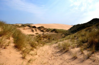 Forvie Sands Nature Reserve