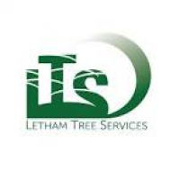 Letham Tree Services