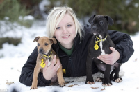 Dog carer Jess Ockwell with