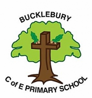 Logo for Bucklebury Church of