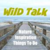Subscribe To Our Wild Talk ...