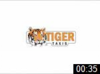 Image of Tiger Taxis