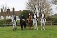 About - Tudor Stud Farm Equestrian Centre