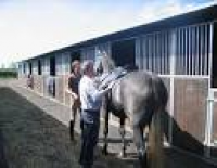 RB Equestrian Ltd - General ...