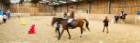 Equine, Horse Riding Courses ...