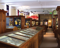 The Sedgwick Museum of Earth