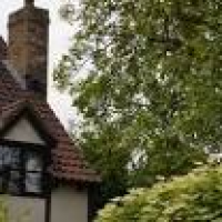 Green Wood Tree Surgery, Ely | Tree Surgeons - 3 Reviews on Yell