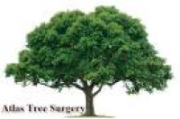 Atlas Tree Surgery Ltd, Cambridge | Tree Surgeons - Yell