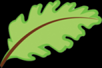 Melin-y-Derw Oak Leaf Logo
