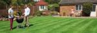 Lawn Treatment Experts | Home