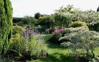Bluebell Cottage gardens