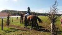Earnsdale Farm Riding School | Day Out With The Kids