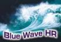 Blue Wave HR was founded by