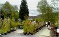 Welcome to Betws-y-Coed Garden