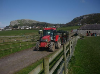 Bodafon Farm Park: Tractor!