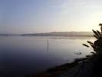 RSPB Hayle Estuary: Across to ...
