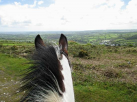 Cornish Riding Holidays