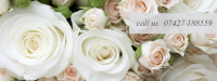 Weddings and Florists by