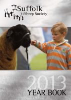 ISSUU - 2013 Suffolk Yearbook