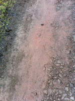 The soil in Rowrah,