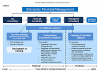 IFAC Definition of enterprise