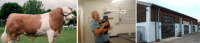 veterinary care in Devon
