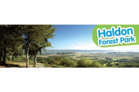 Haldon Forest Park | Days Out,
