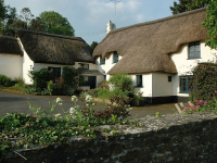 Bideford cottage rental