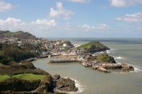 Ilfracombe quay is home to the