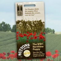 Poppy Seeds - The WW1 Northlew