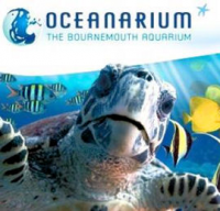 The Bournemouth Oceanarium