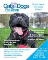 Bath Cats and Dogs Home - Pet Shop
