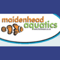 Maidenhead Aquatics now open