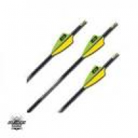 Easton | ACE Arrows | from The Archery Shop Ltd
