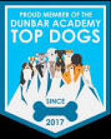 dog training Gosport experienced dog trainers, pet problems, pet ...