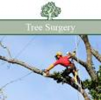 Tree Surgery
