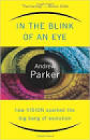 In the Blink of an Eye: How Vision Sparked the Big Bang of ...