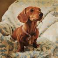 1000+ images about Dogs in Art ...