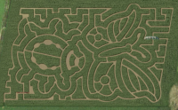 More than just a Maze – There