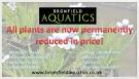 About_Us - Bromfields Pond Plants