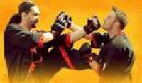 Martial Arts WordPress theme |
