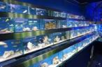 London retail shop aquarium ...