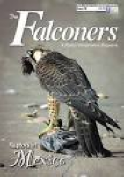 The Falconers & Raptor ...