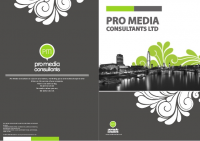 PRO MEDIA CONSULTANTS LIMITED,
