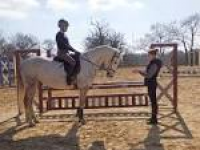 Clinics – Riding Farm Equestrian Centre