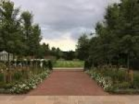 Garden Designer in Surrey | Designs for all Seasons