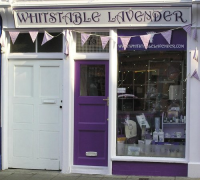 Whitstable Lavender