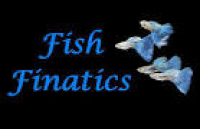 Fish Finatics