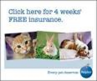 Pet Insurance Claims ...